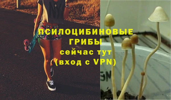 MDMA Premium VHQ Кодинск